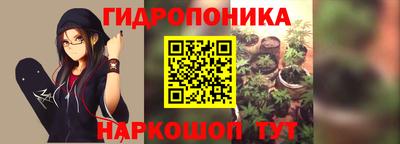 сатива Нарткала